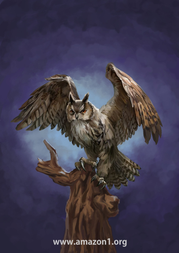 An owl 