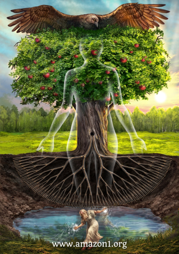 The Family Tree